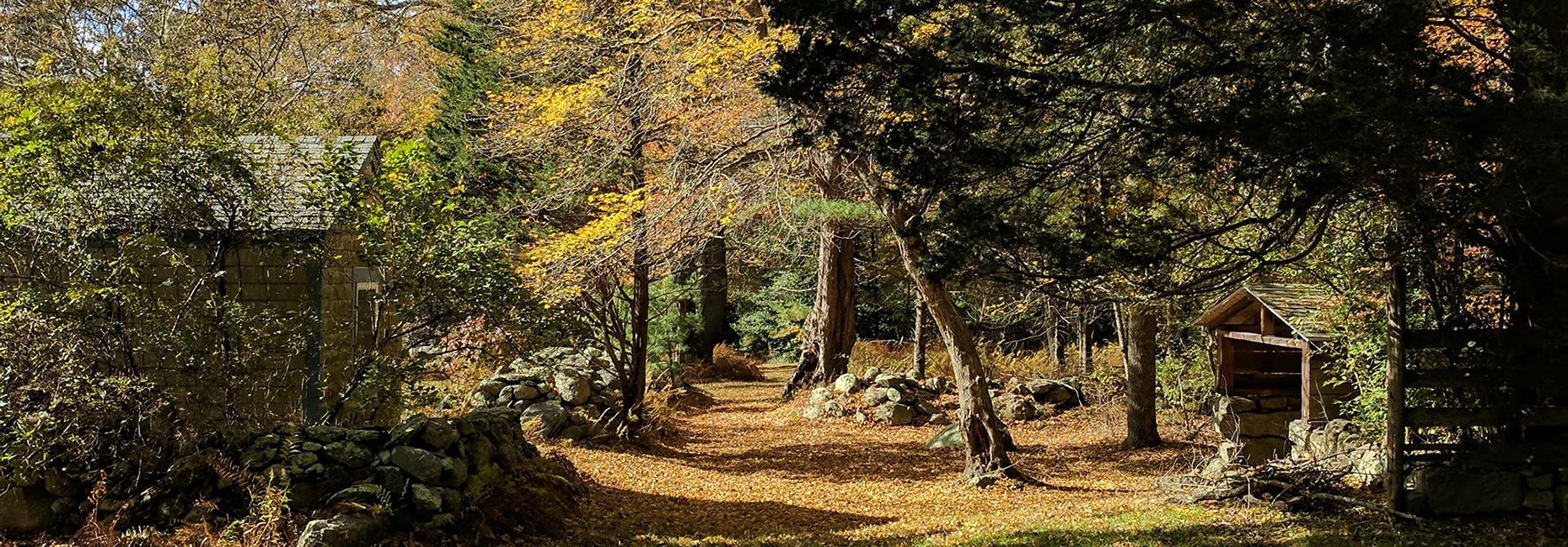 Fall Path