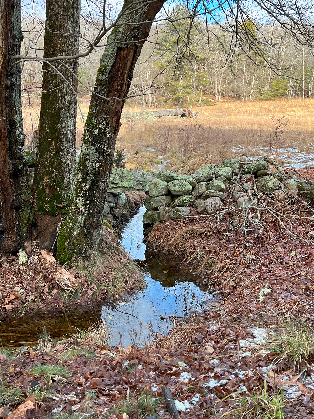 stream