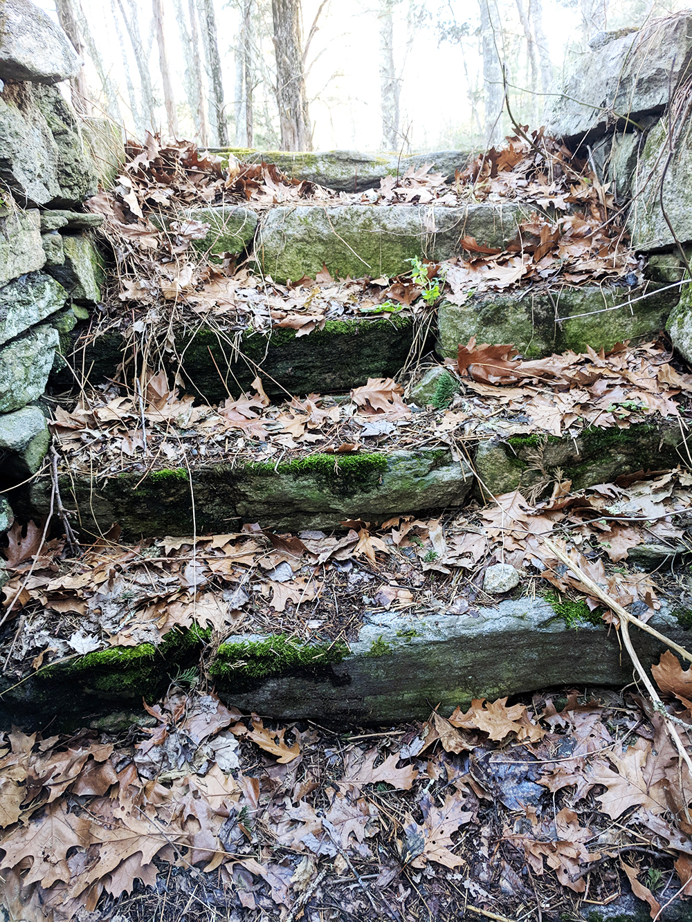 Autumn Stairway