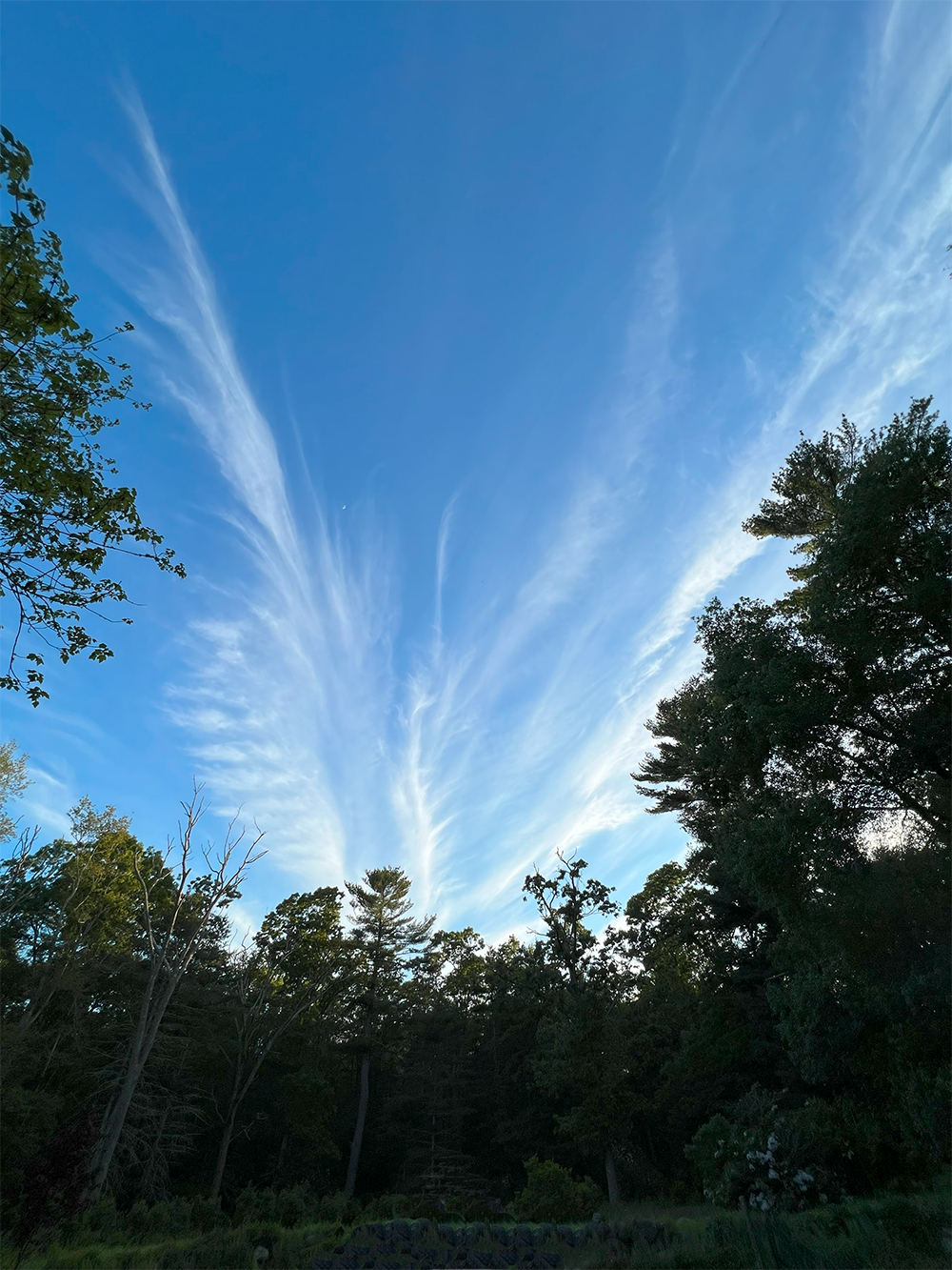 Blue Sky