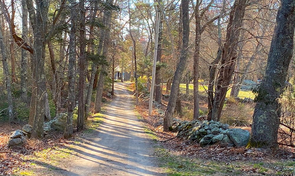 Driveway