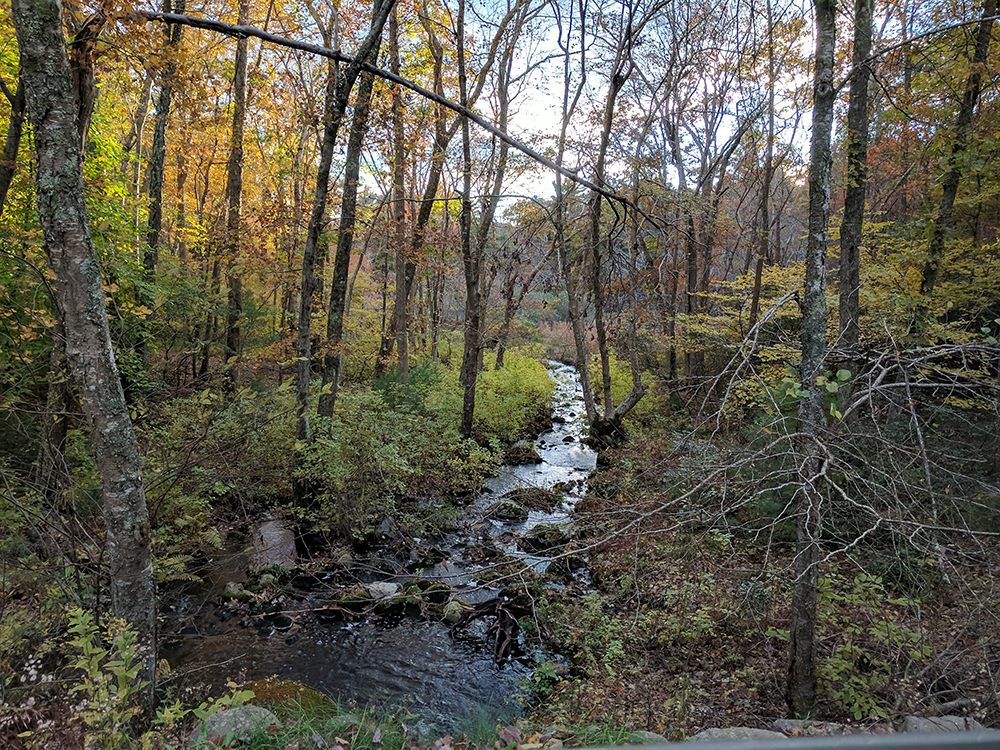 Farm Stream