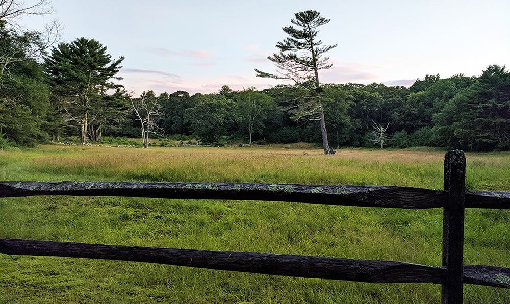 Sunrise Fence