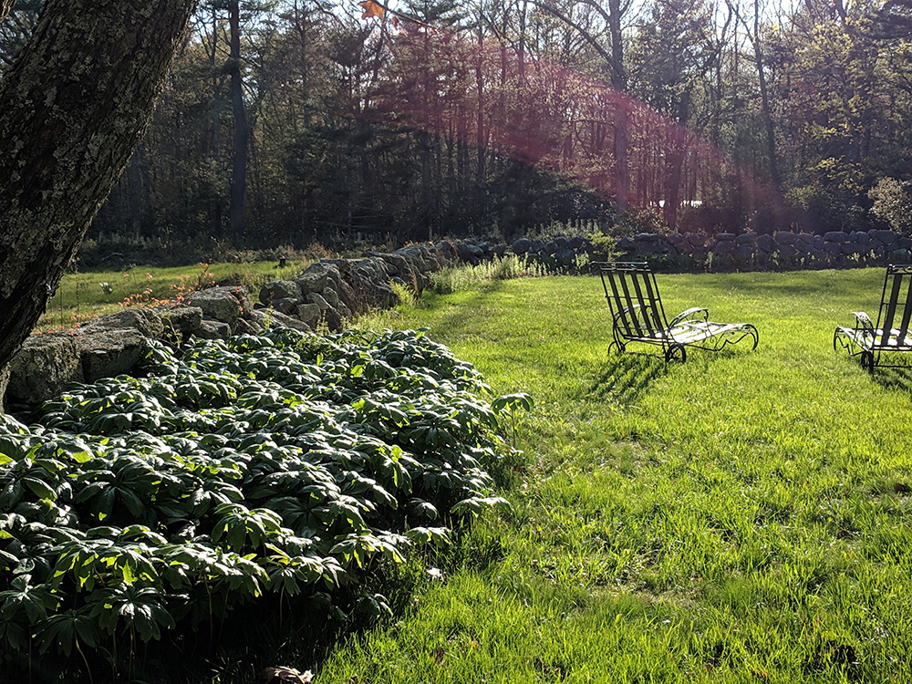 Lawn Chairs