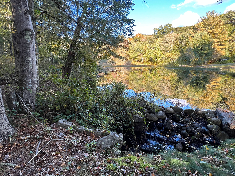 the pond in October