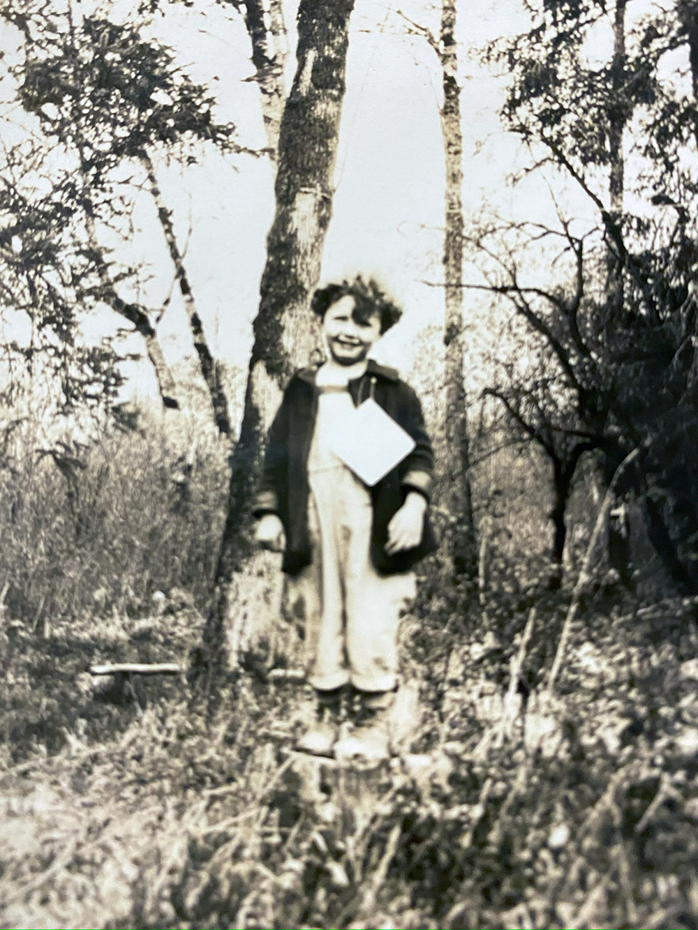 Shirley