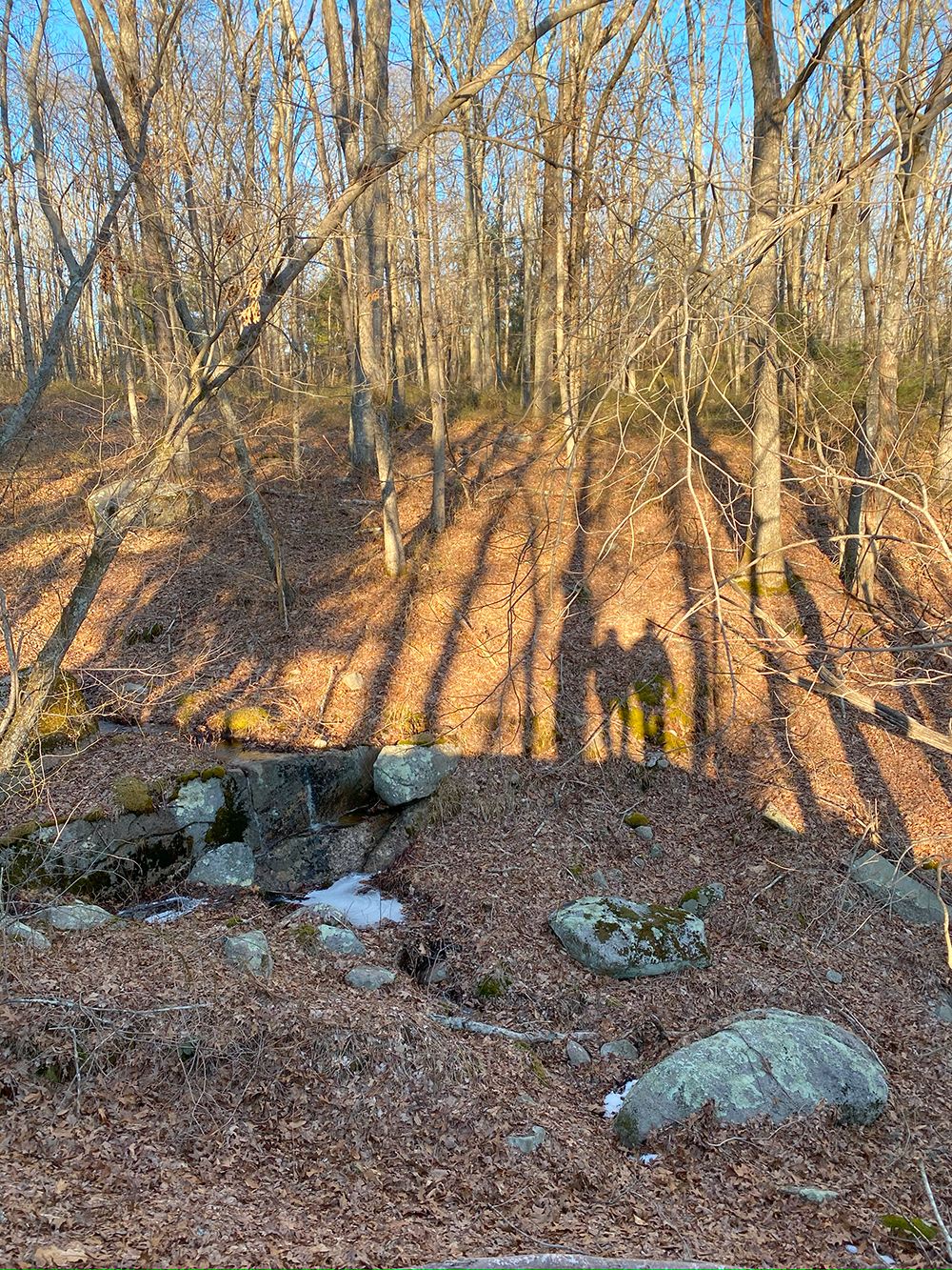 shadows in the sun