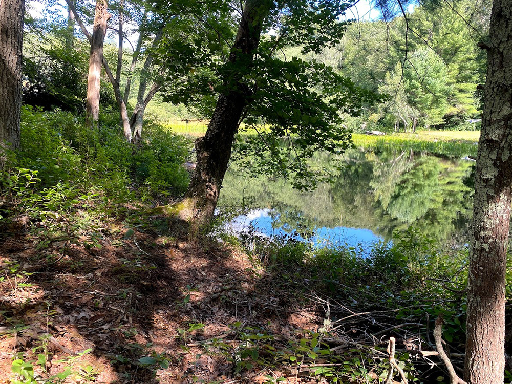 Still Water