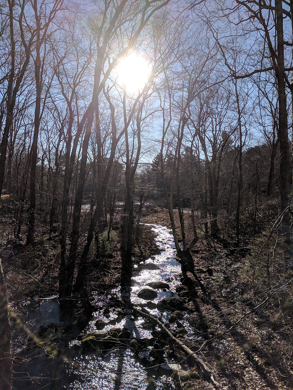 Stream