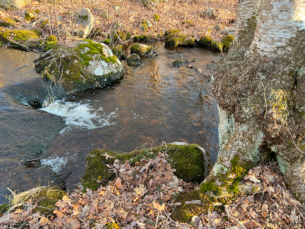 Stream