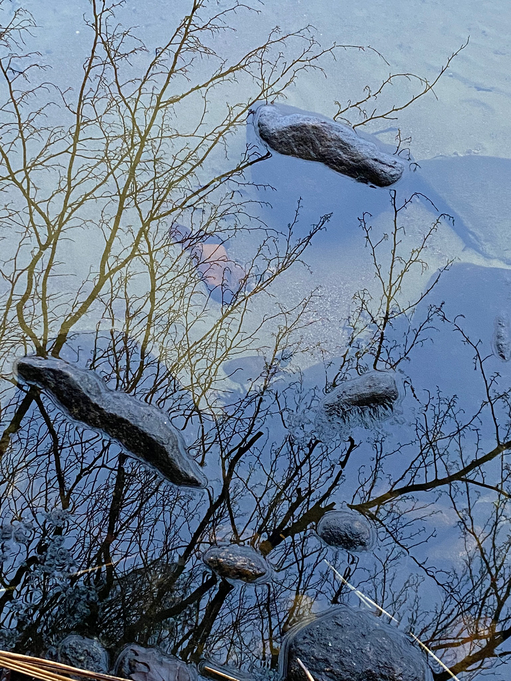 stones in the stream