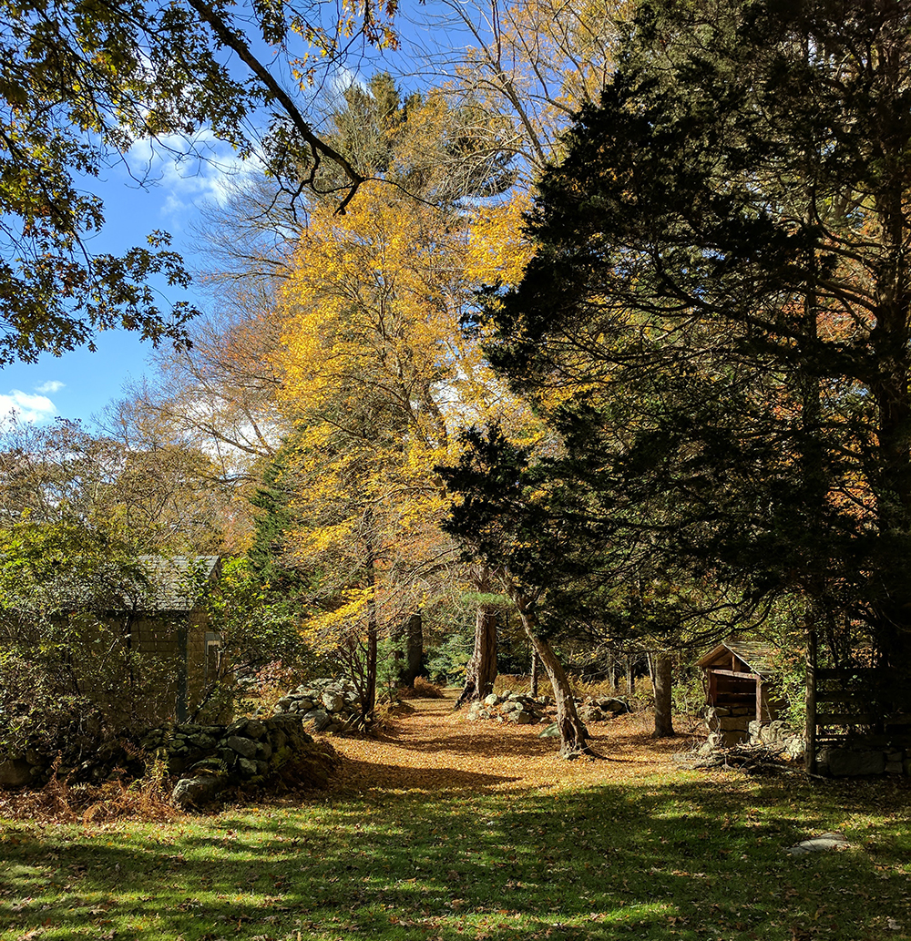 Sunny Trail