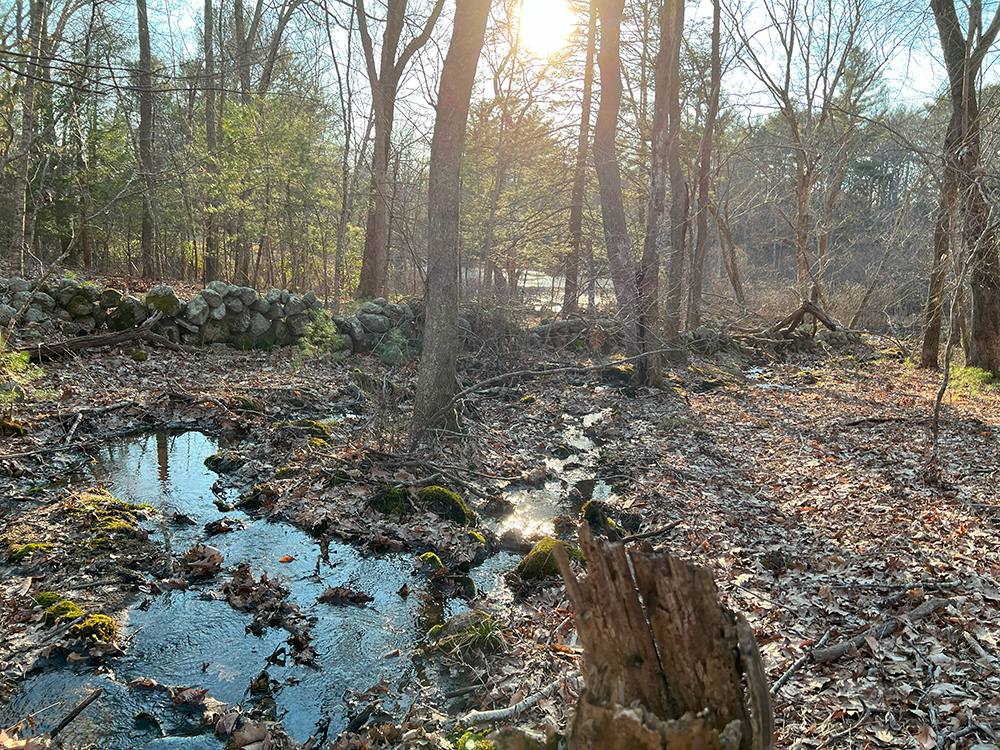 Sunset Stream