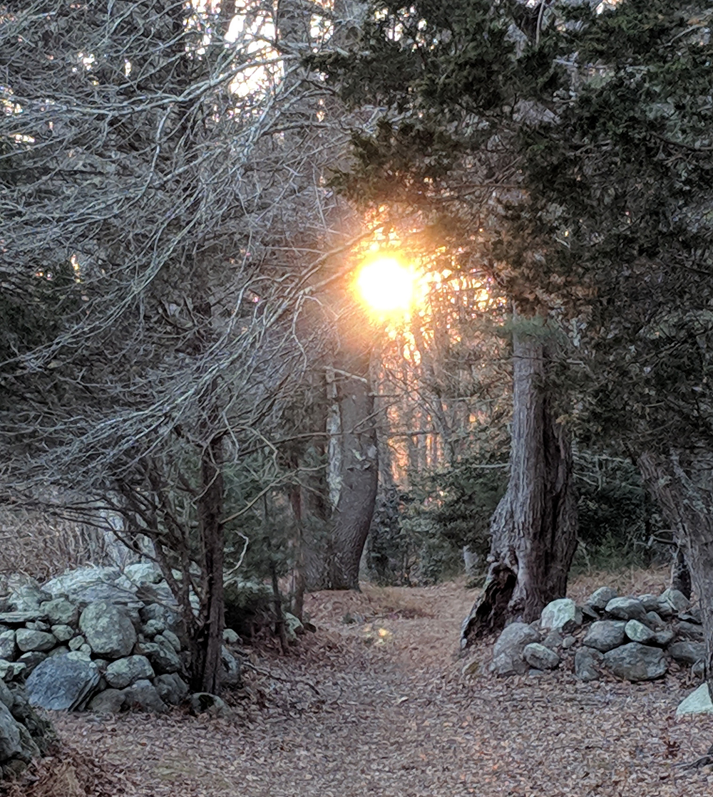 Sunset Trail
