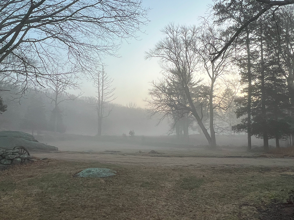 Winter Mist