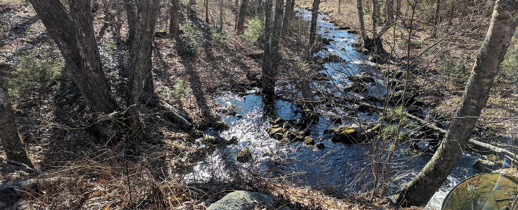 Farm stream