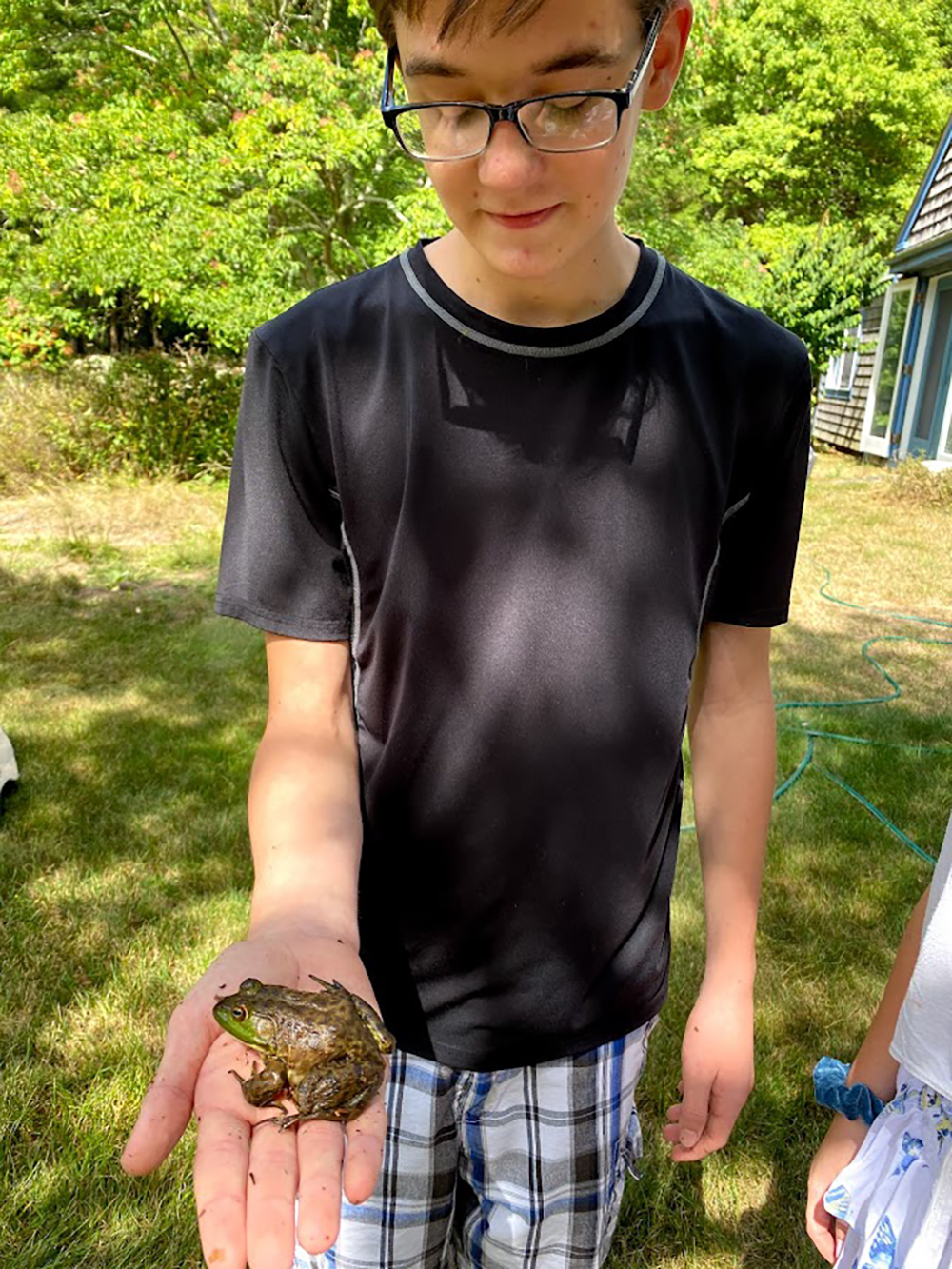 Frog