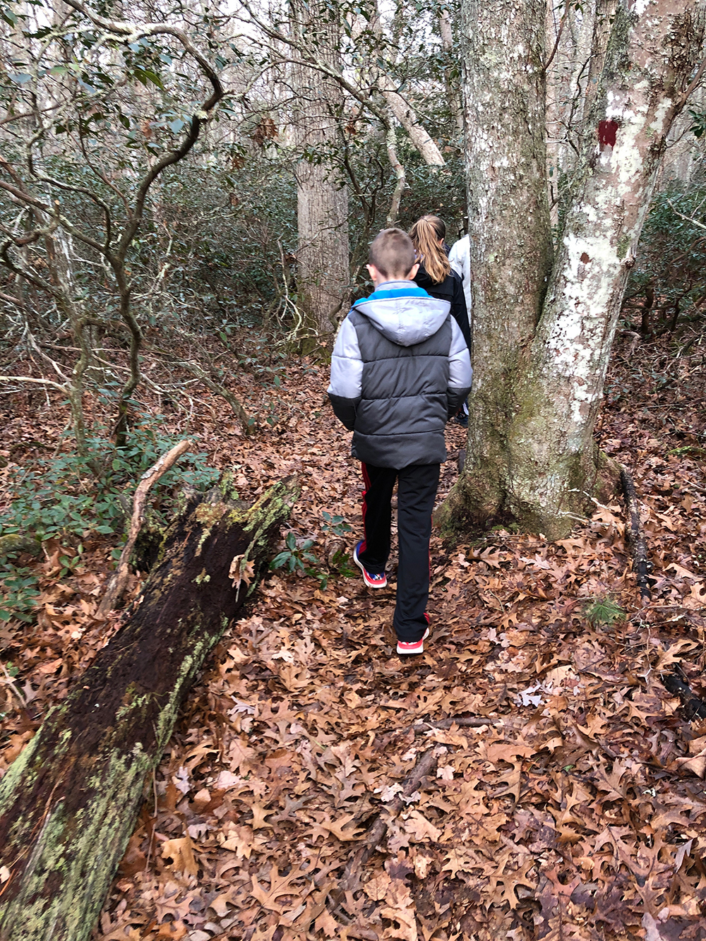 On The Trail