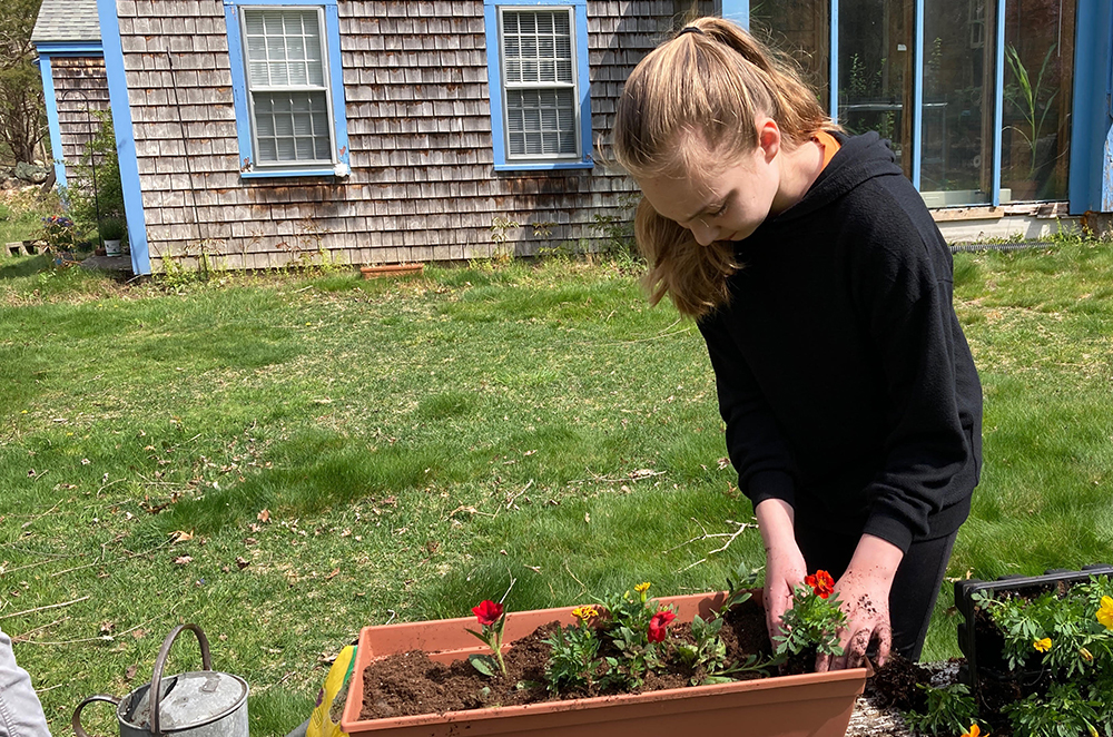Planting Flowers