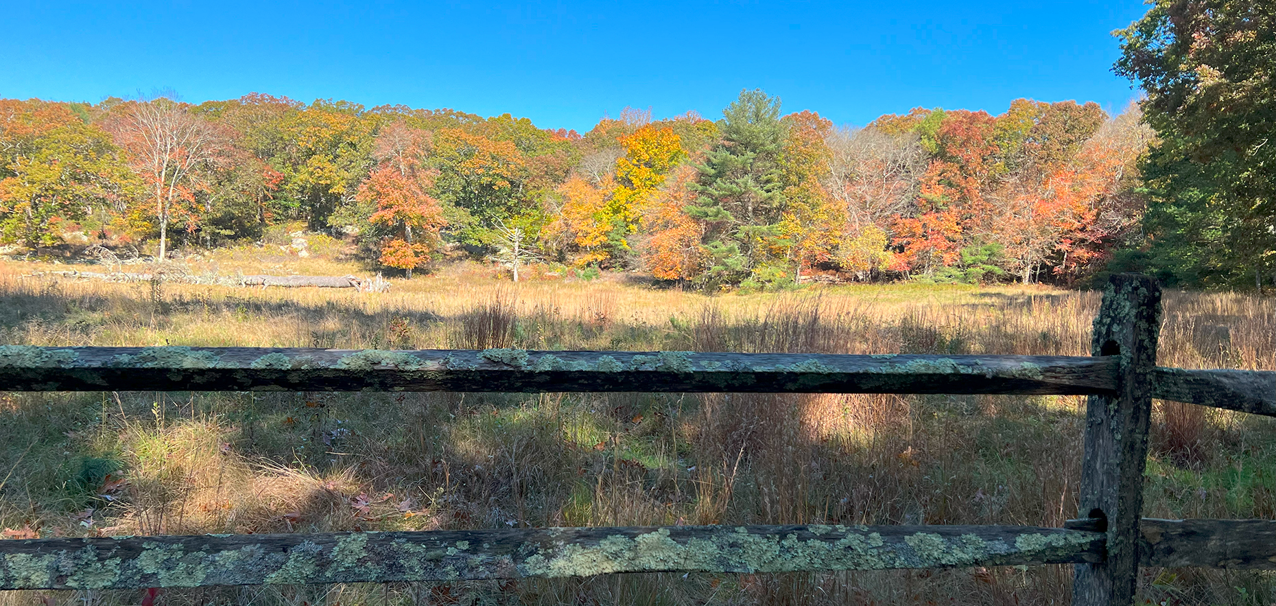 Fall at Wells Farm