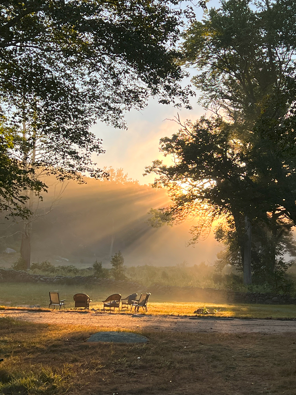 meeting place in nature